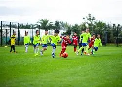 体育大观,日特刊,球速体育,球速体育平台,球速体育官方网站,球速体育登录入口,球速体育app下载