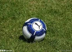 谢泼德高效,贡献,正负值,球速体育平台,球速体育官方网站,球速体育登录入口,球速体育app下载