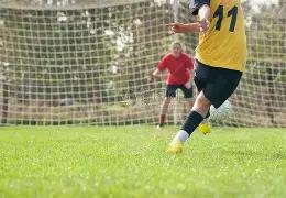 年版,中国药典,中药重金属,球速体育平台,球速体育官方网站,球速体育登录入口,球速体育app下载