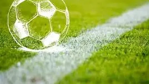 球速体育 产品 084302 lvr