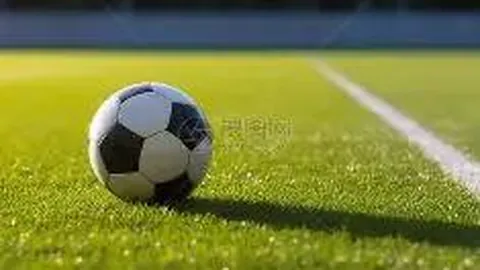 球速体育 资讯 084233 c5g