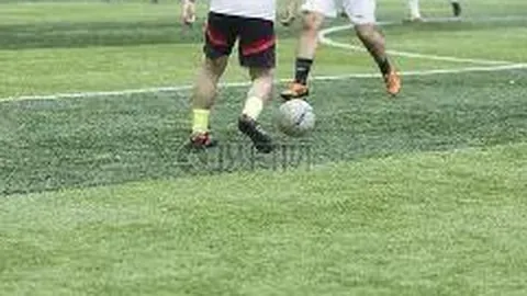 纬来体育频道直播