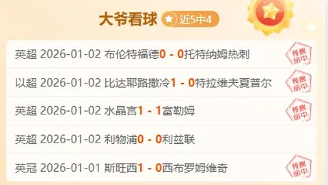 苏莱与迪巴拉：同窗手足，共绘尤文佳话