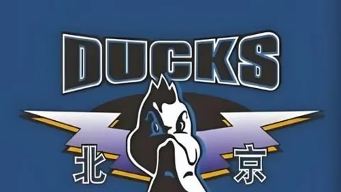 球速体育 081134 6