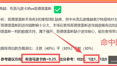 球速体育球速体育官网新动作落地引发关注